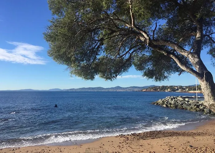 Lägenhet Le Diamant Vue Grandiose Sur Port Et Mer, Piscine Privee *
